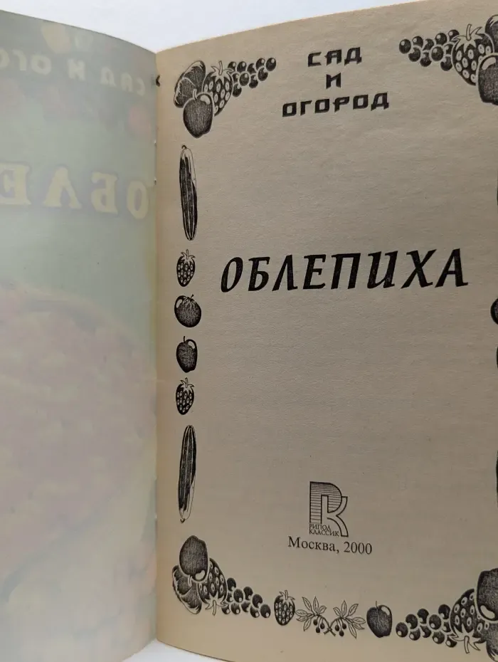 Облепиха