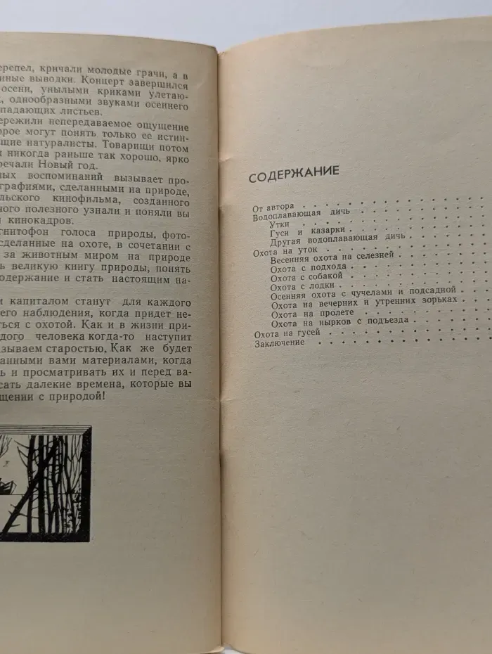 Охота на водоплавающую дичь