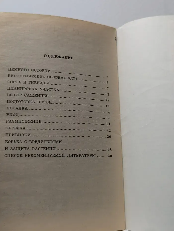 Яблоня