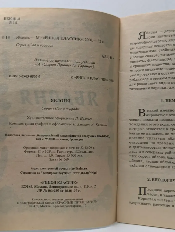 Яблоня