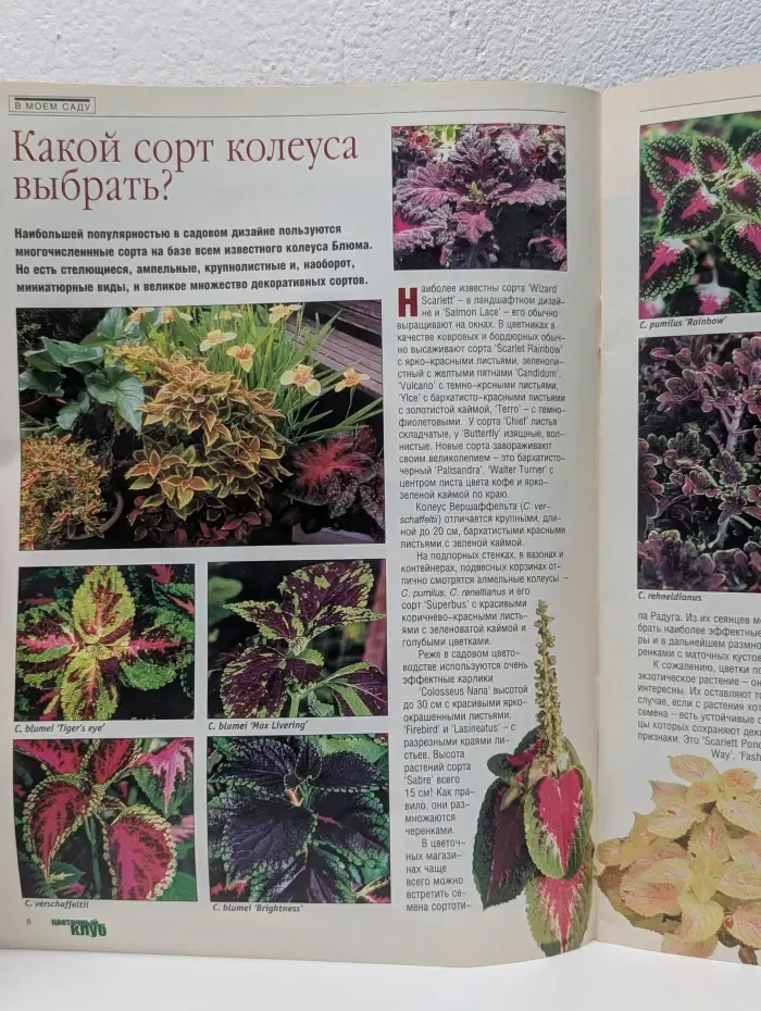 Цветочный клуб. Выпуск № 10/2003