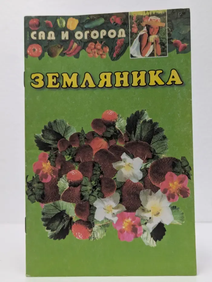 Земляника