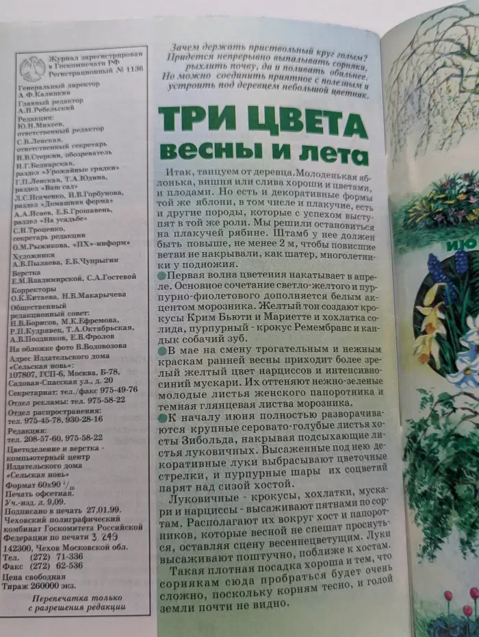 Приусадебное хозяйство. Выпуск № 3/99