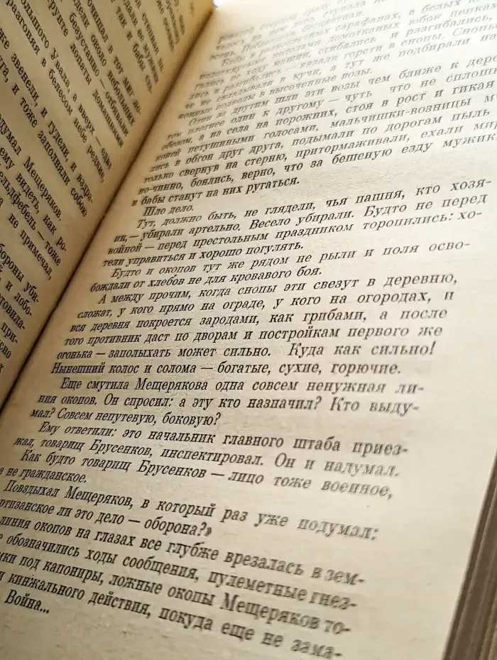 Соленая падь