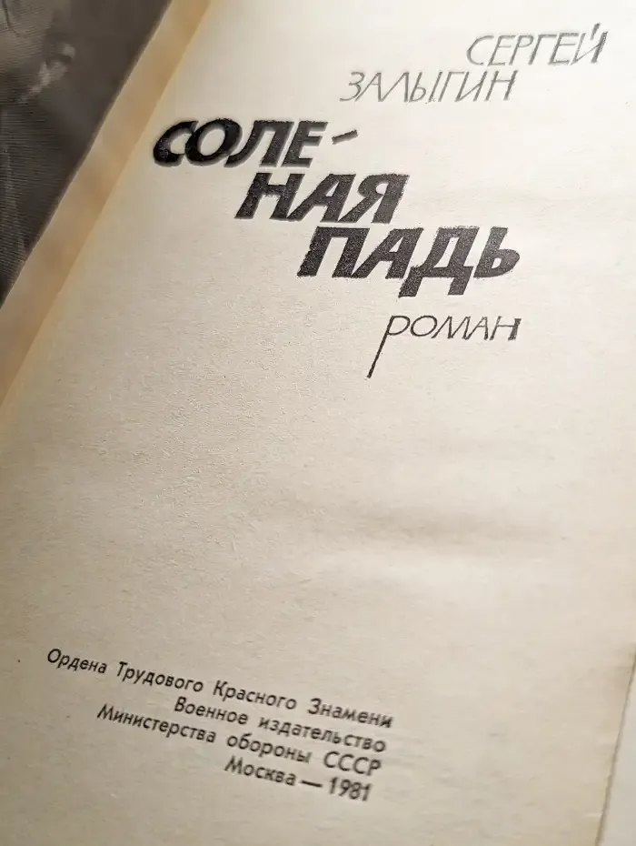 Соленая падь