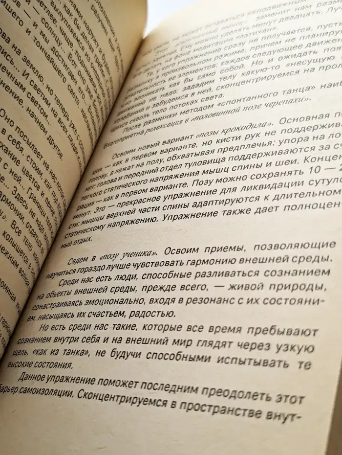 Раджа- и буддхи-йога