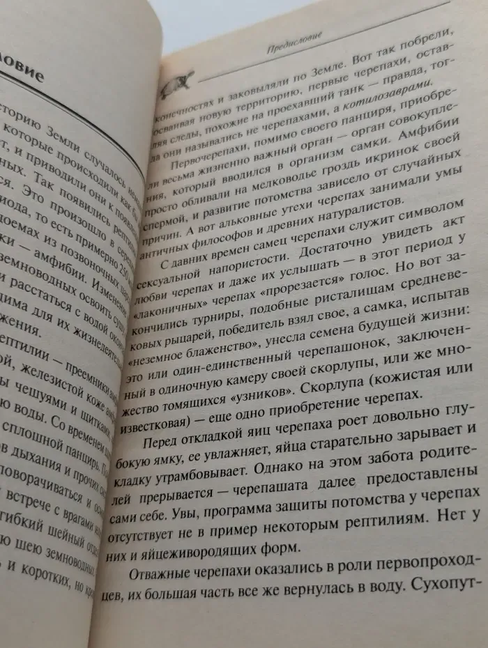 Аквариумные и террариумные черепахи