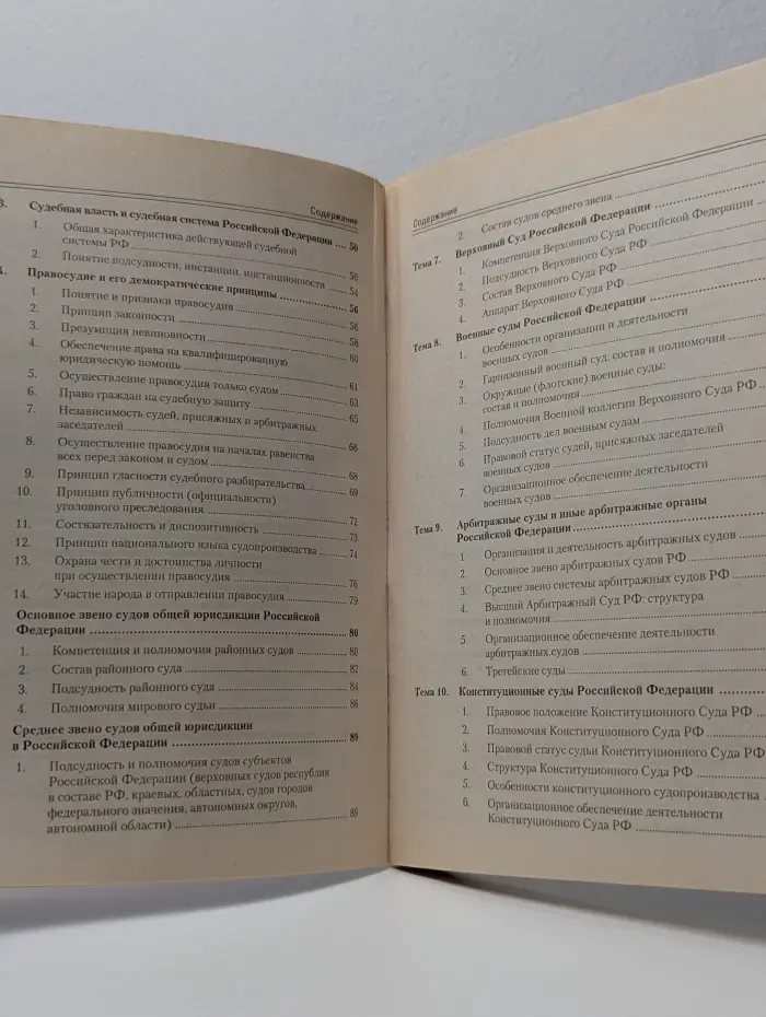 Правоохранительные органы. Краткий курс