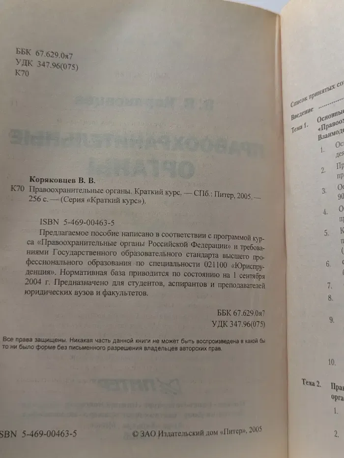 Правоохранительные органы. Краткий курс