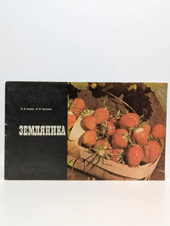 Земляника