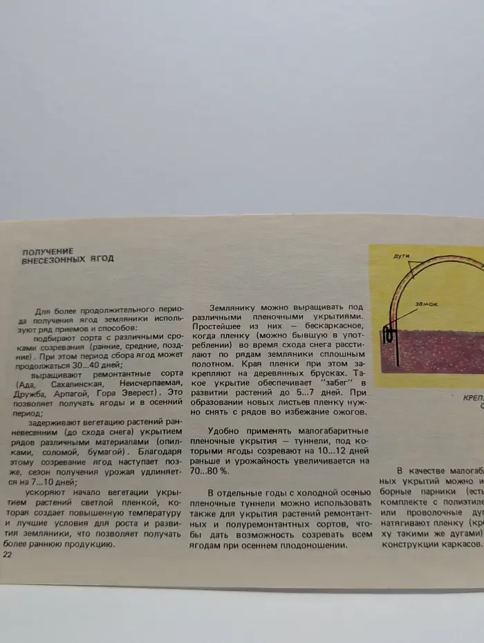 Земляника