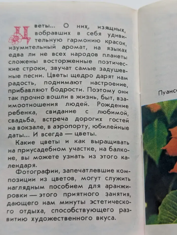Цветовод-84. Календарь-ежемесячник