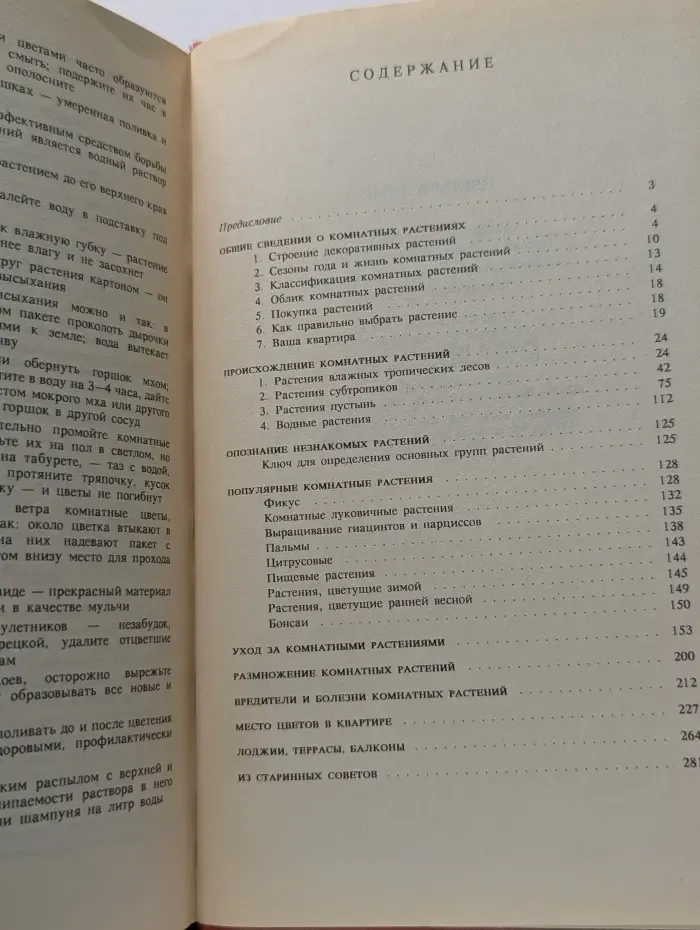 Цветы в доме