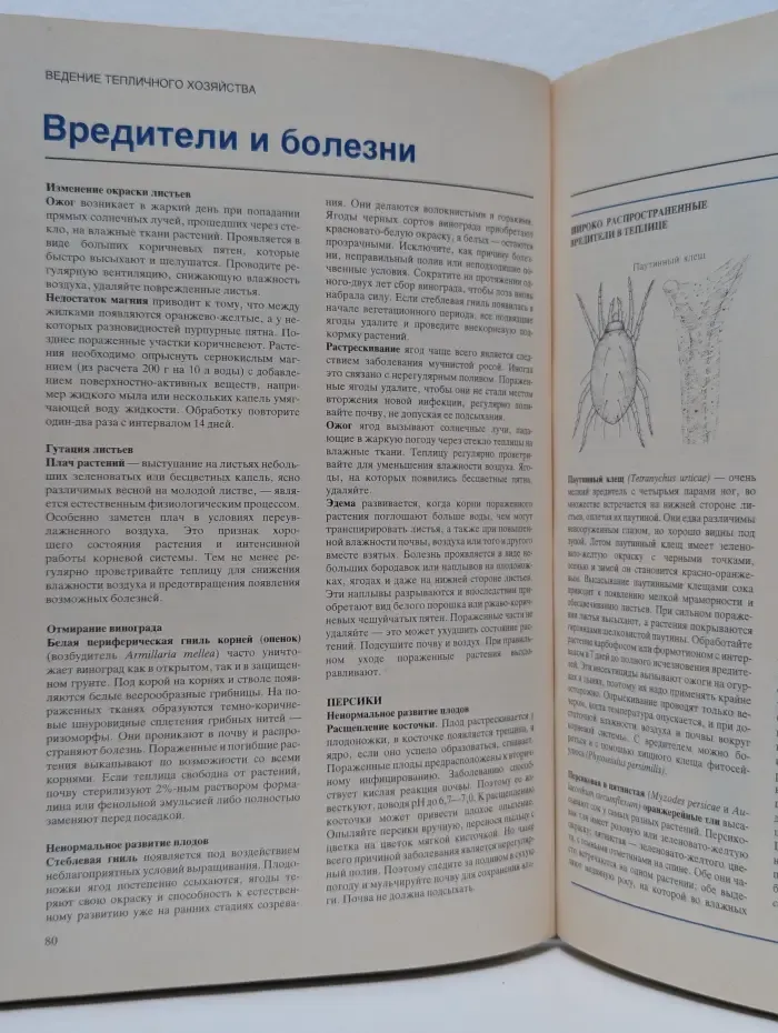 Растения под стеклом