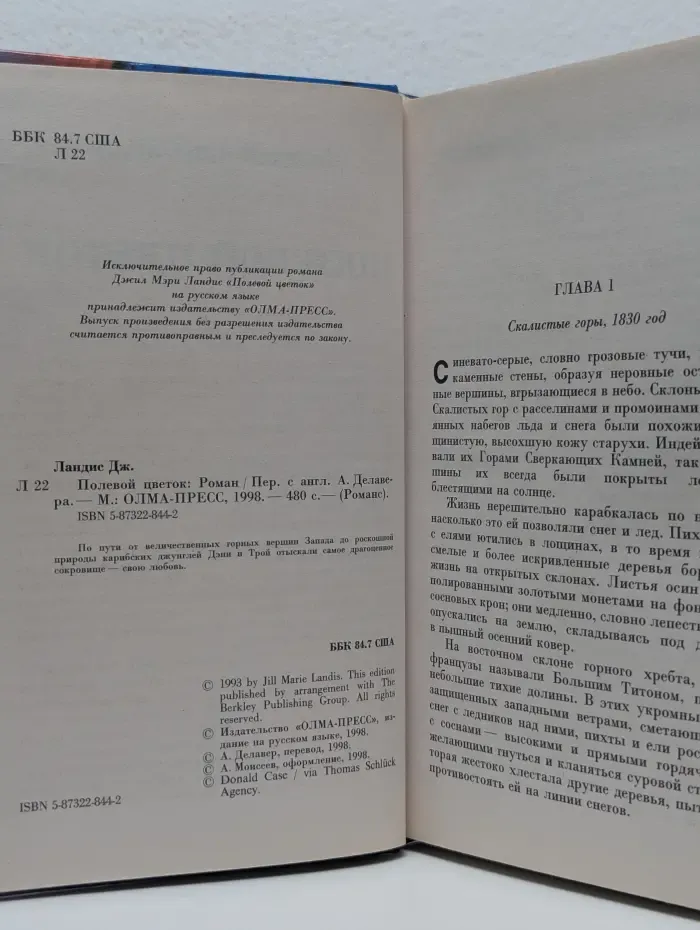 Полевой цветок