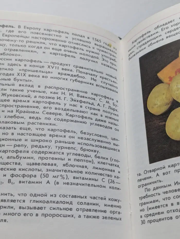 Растения на вашем столе