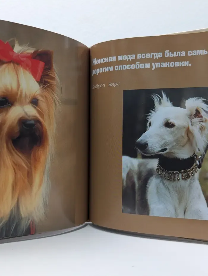 Я люблю собак