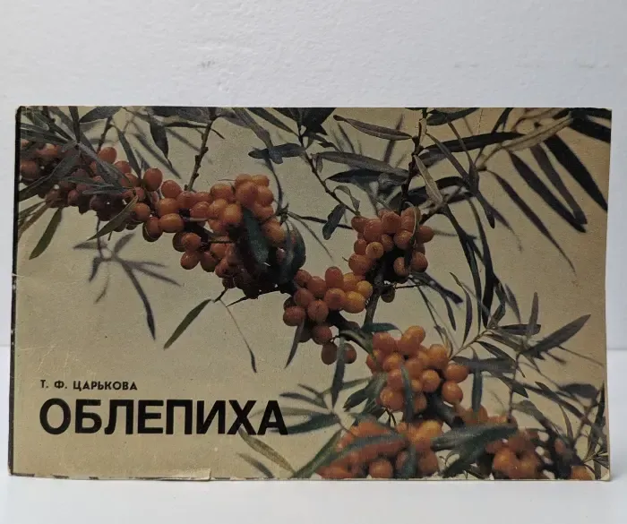 Облепиха