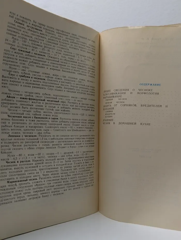 Чеснок