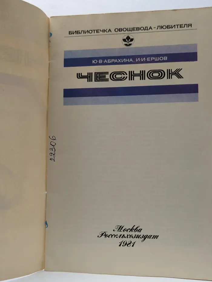 Чеснок