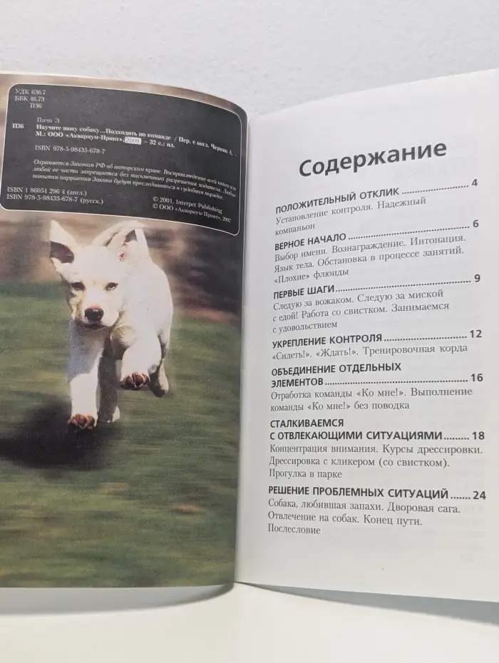 Научите вашу собаку... Подходить по команде