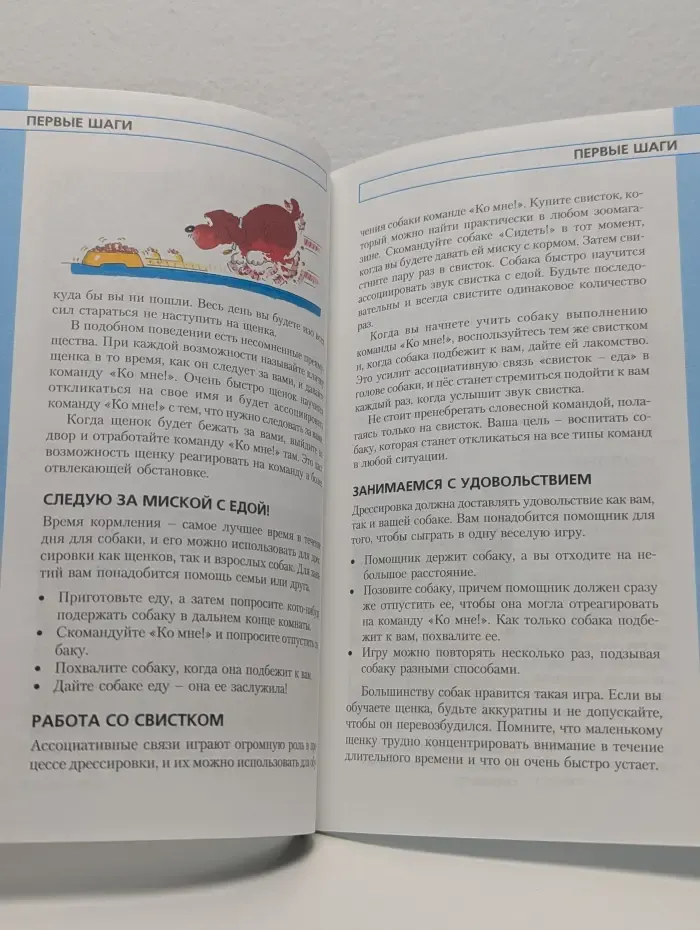 Научите вашу собаку... Подходить по команде
