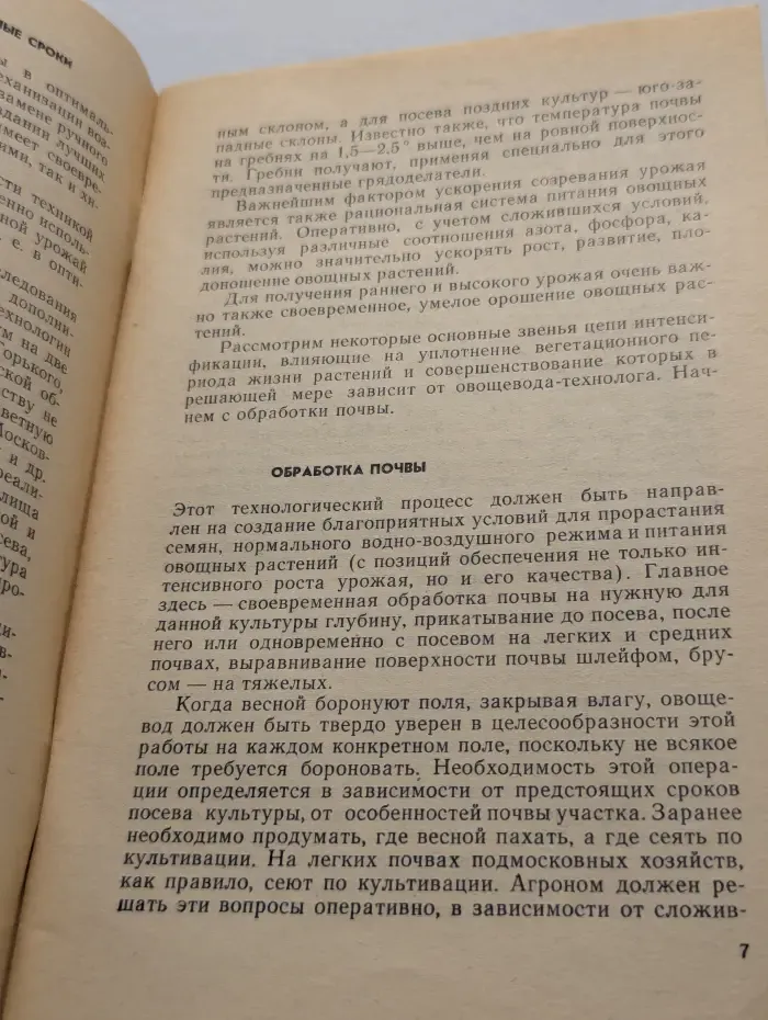 Два урожая овощей в год