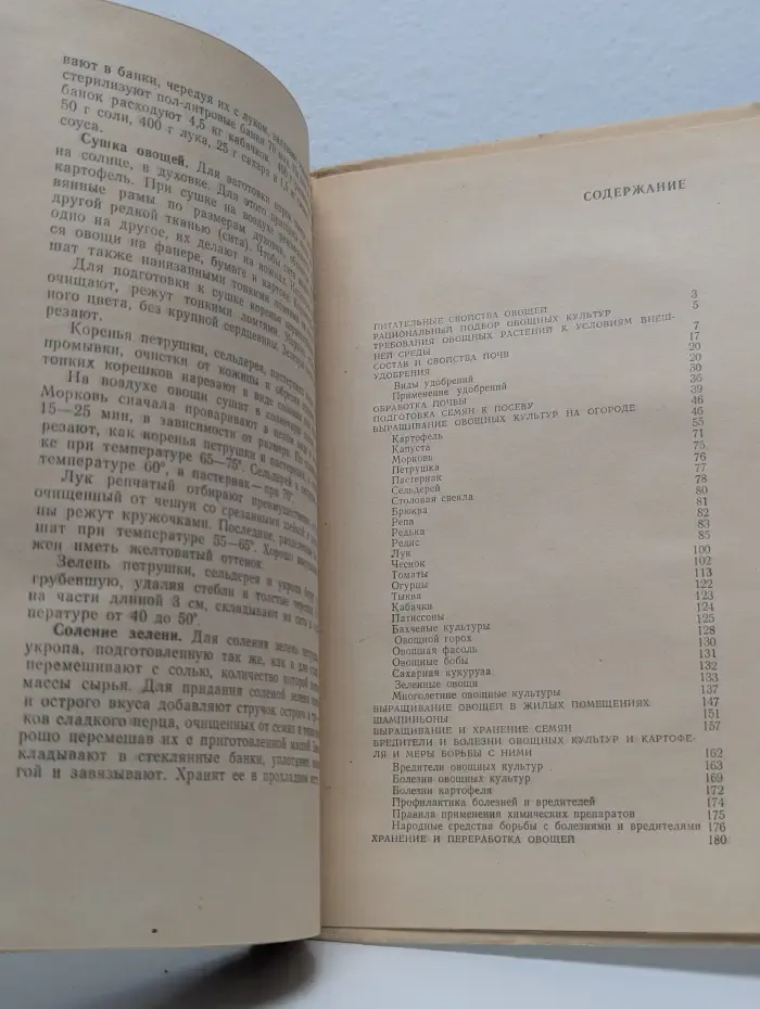 Домашний огород