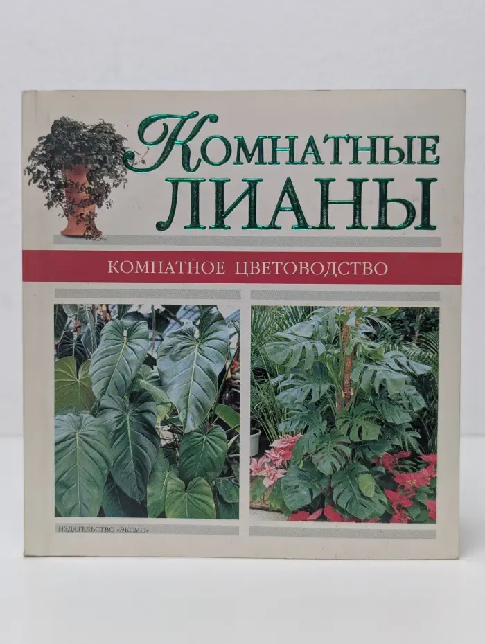 Комнатные лианы. Комнатное цветоводство