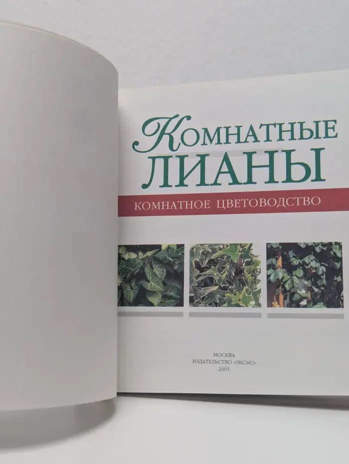 Комнатные лианы. Комнатное цветоводство