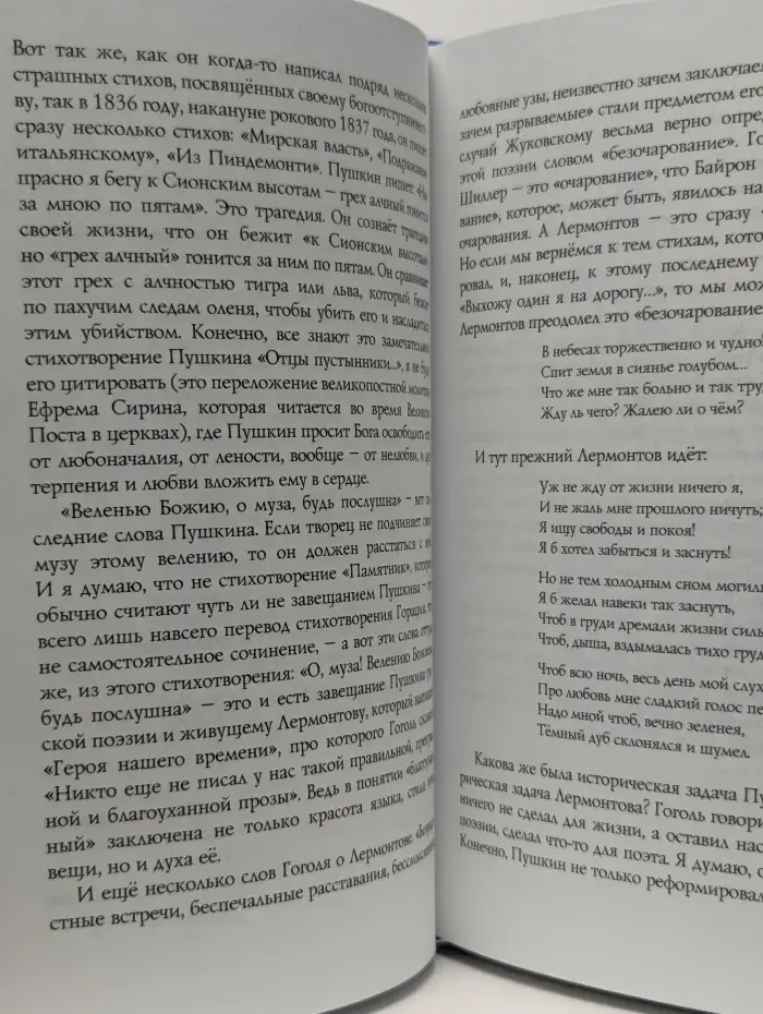 Незримая ступень. Беседы о литературе и религии