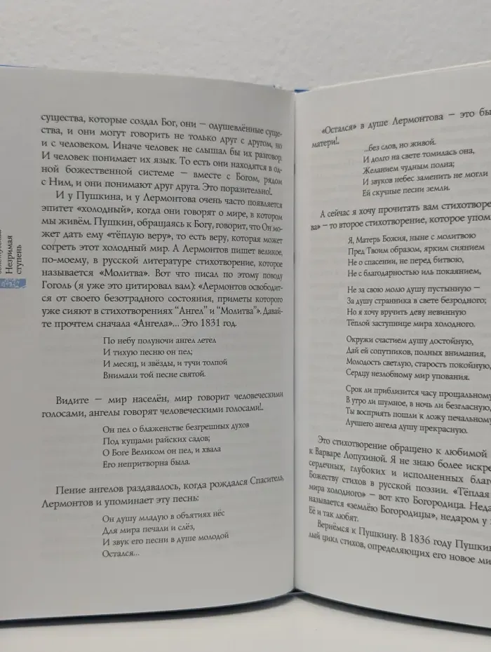 Незримая ступень. Беседы о литературе и религии