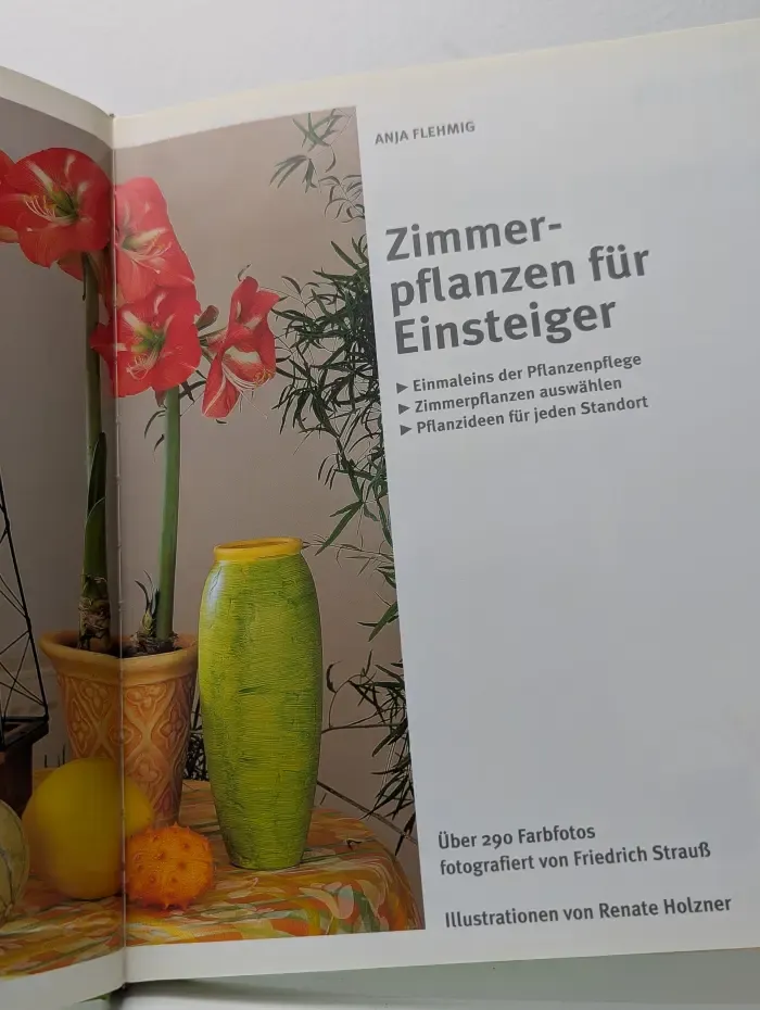 Zimmerpflanzen fur Einsteiger. Комнатные растения для начинающих