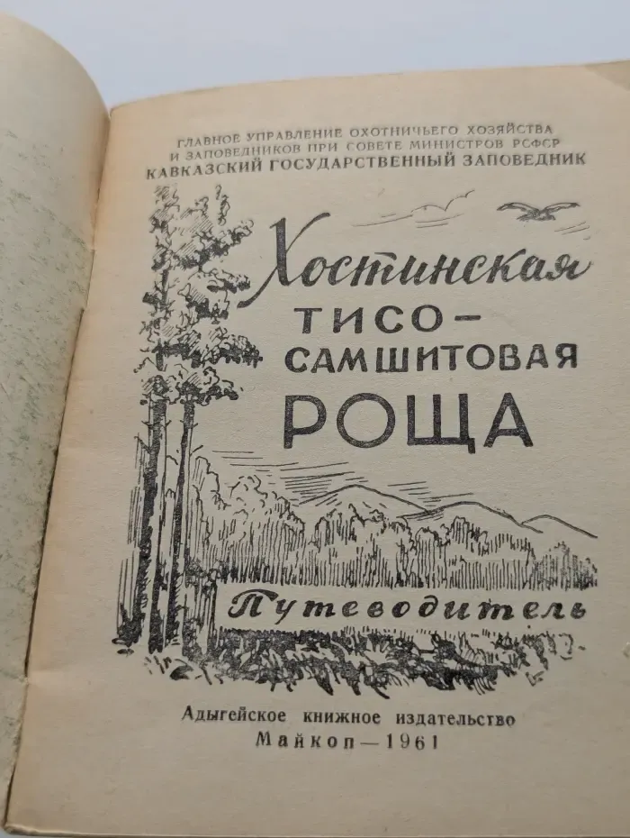 Хостинская тисо-самшитовая роща