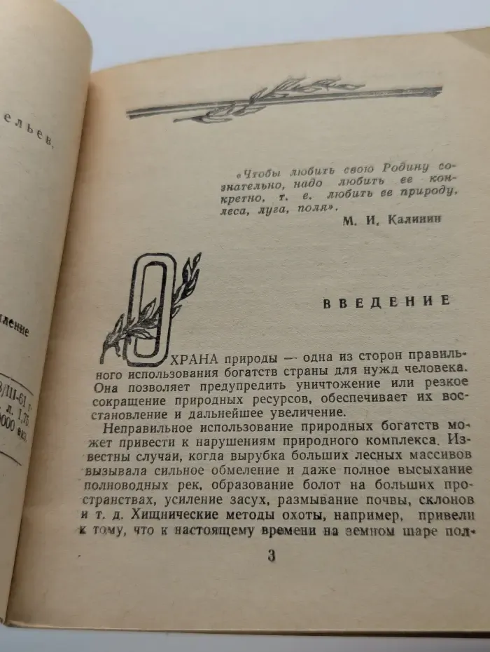 Хостинская тисо-самшитовая роща
