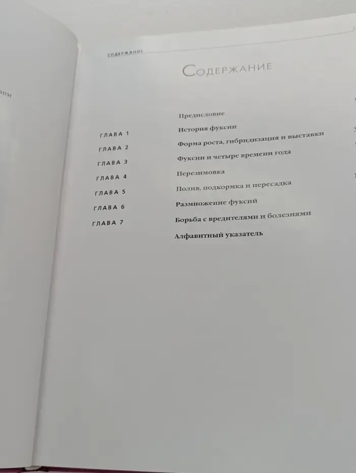Цветущий мир. Фуксии