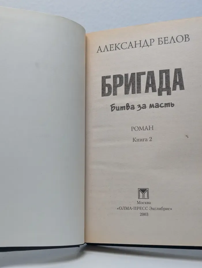 Бригада. Битва за масть. Книга 2