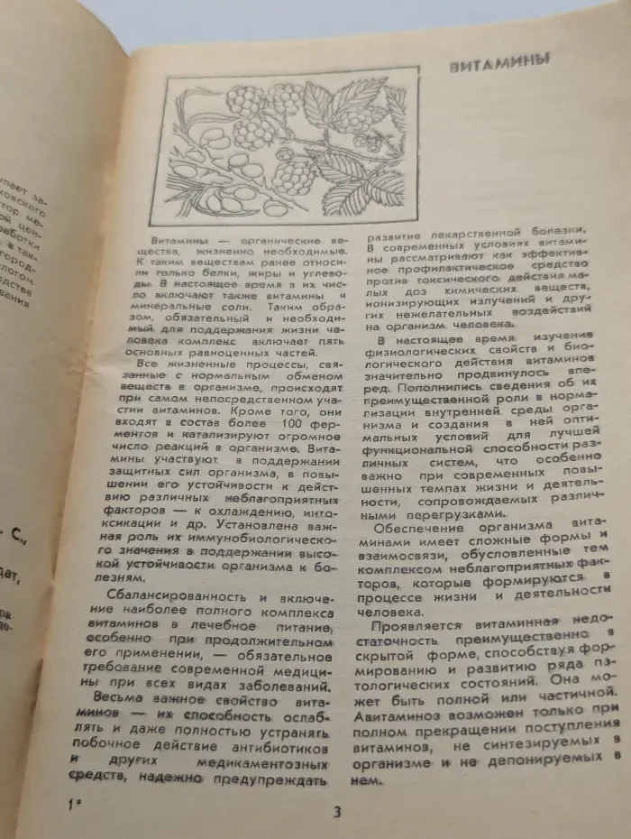 Витамины круглый год