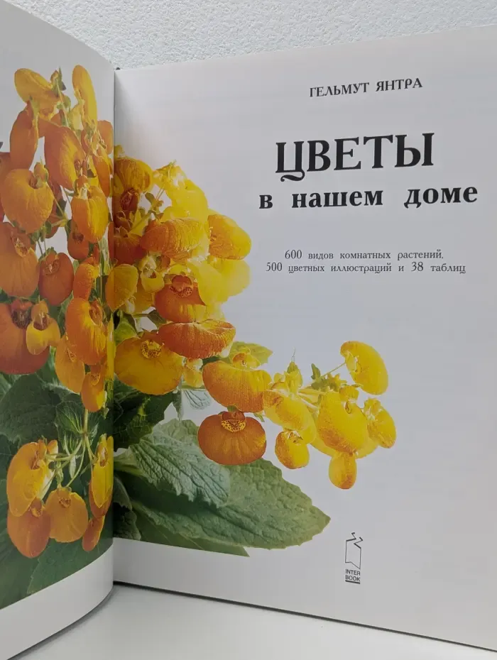 Цветы в нашем доме