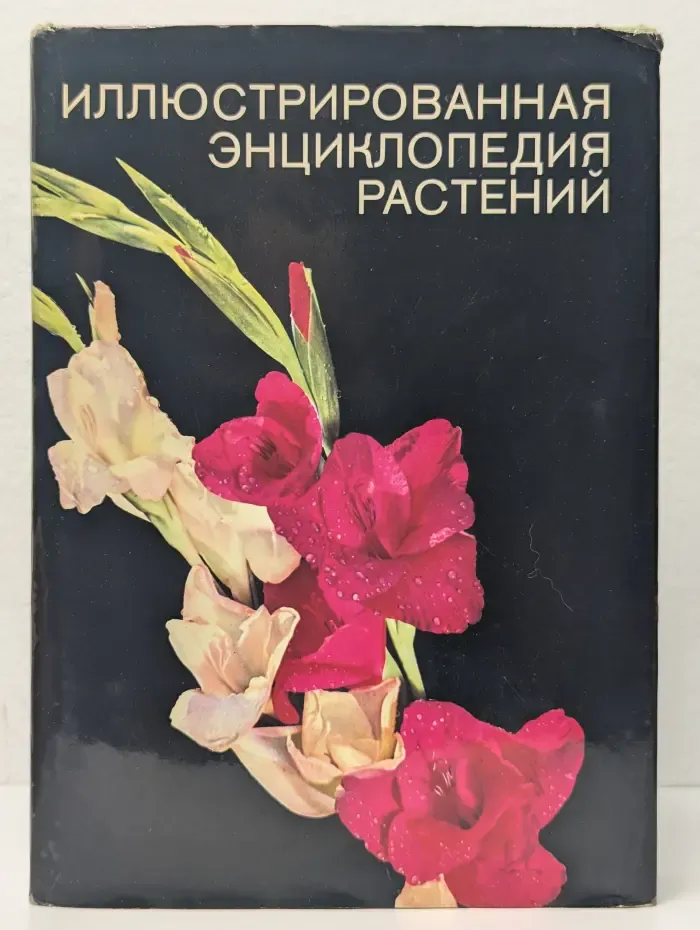 Иллюстрированная энциклопедия растений