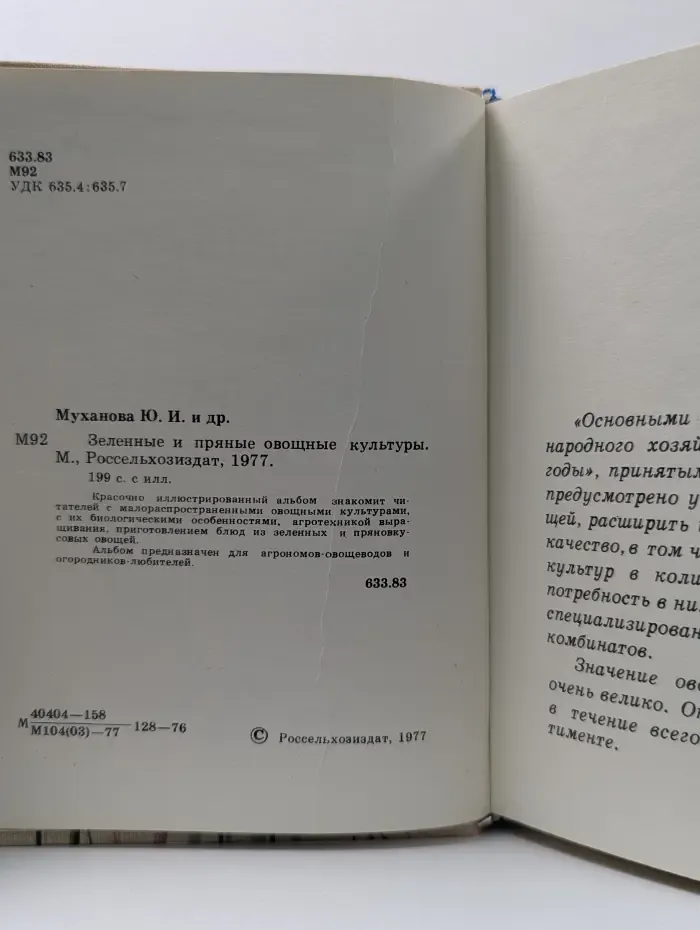 Зеленые и пряные овощные культуры