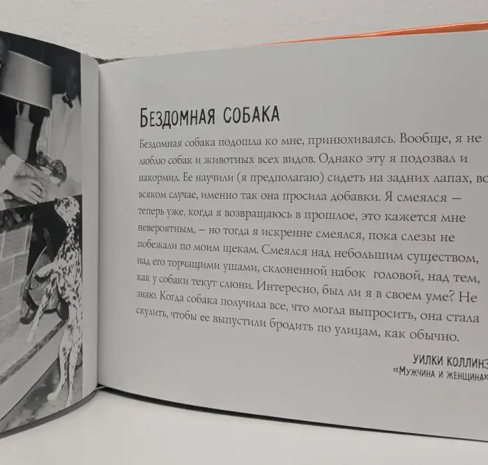 Крутые дворняжки