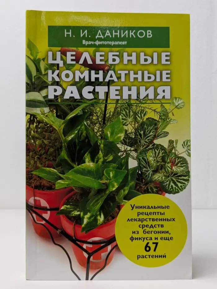 Целебные комнатные растения