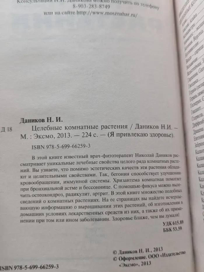 Целебные комнатные растения