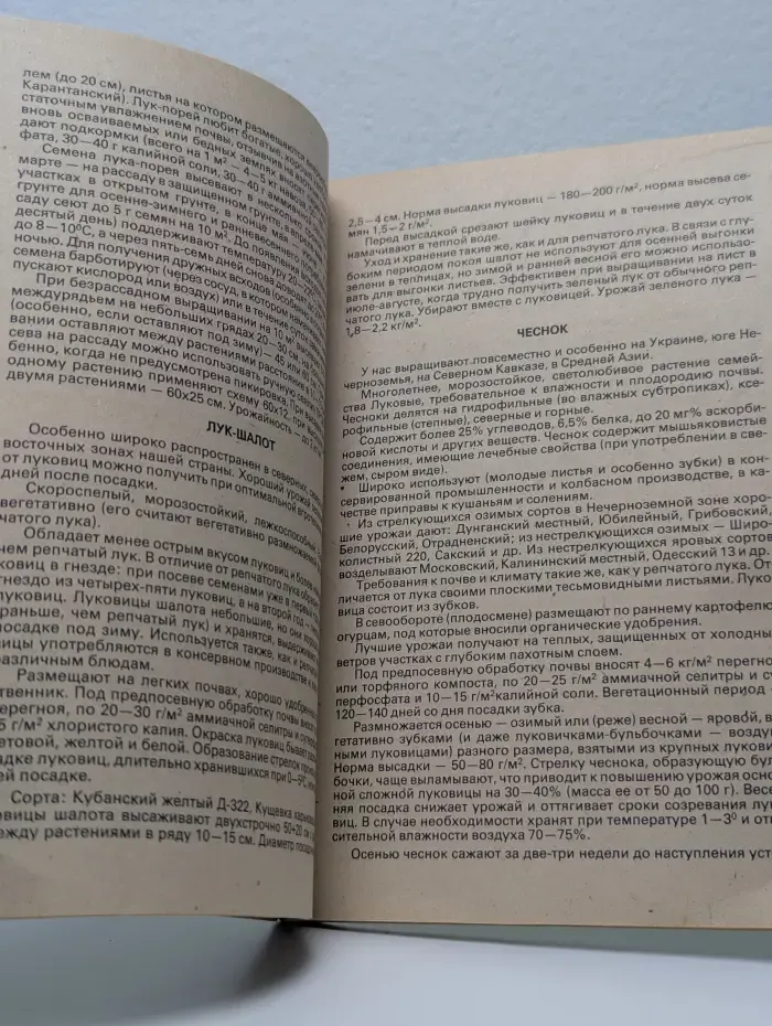 Витамины с грядки