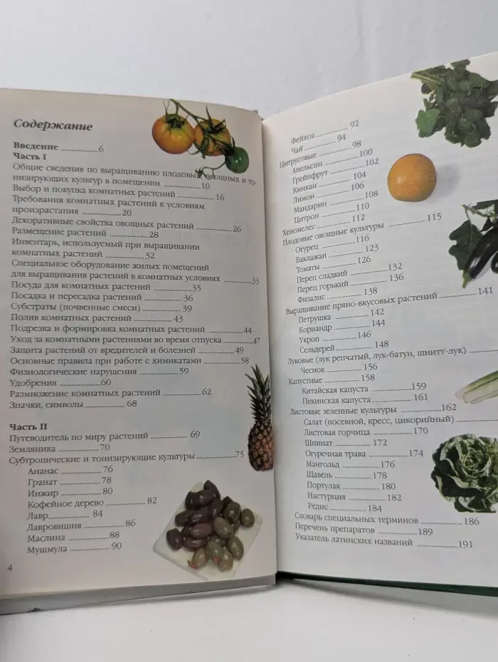 Сад и огород в квартире