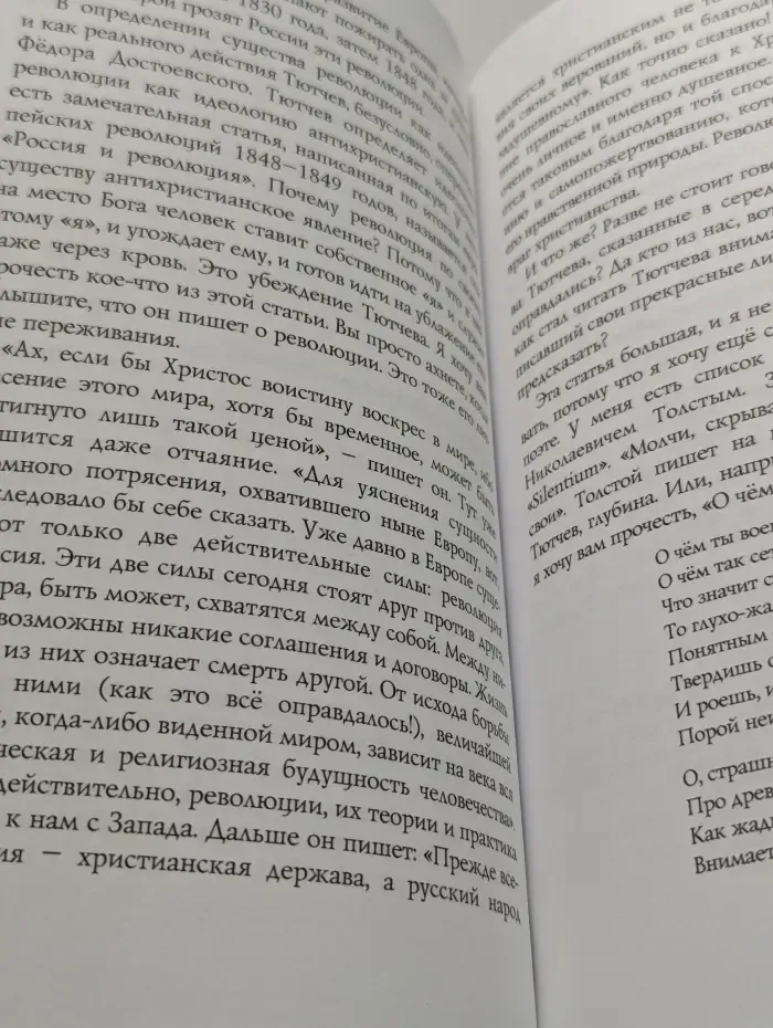Незримая ступень. Беседы о литературе и религии