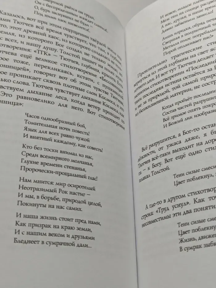 Незримая ступень. Беседы о литературе и религии