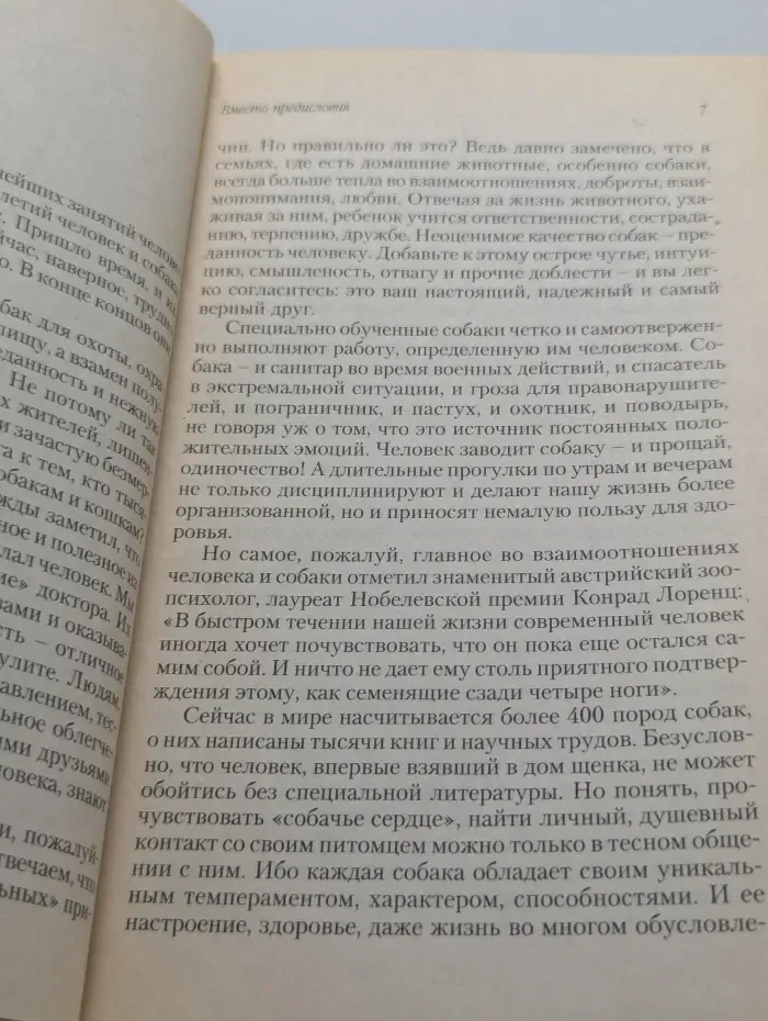 Как зовут вашу собаку?