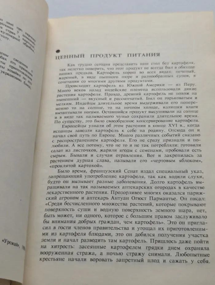 Картофель в нашем доме